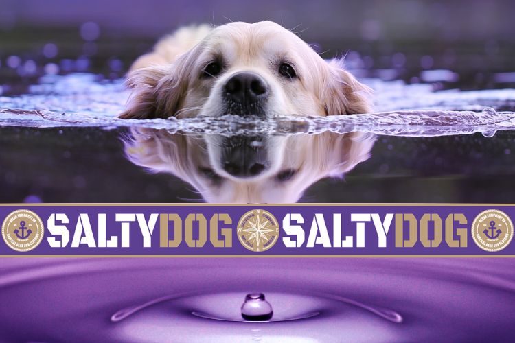 SALTYDOG Special | Lila Cashmere